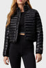 CALVIN KLEIN PW - PADDED MIDWEIGHT JACKET Mont