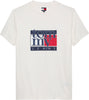 TOMMY HILFIGER Erkek Beyaz T-Shirt DM0DM21977 YBH