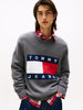 TOMMY HILFIGER Erkek Gri Kazak DM0DM22105 PU2
