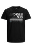 Jack&Jones Jcobooster Tee Ss Crew Neck Mar 2021 T-Shirt
