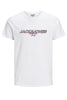 Jack&Jones Jorbooster Tee Ss Crew Neck Mar 21 Erkek T-Shirt
