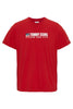 Tommy Hilfiger Tjm Entry Athletics Tee Erkek T-Shirt