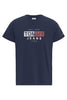 Tommy Hilfiger Tjm Entry Flag Tee Erkek T-Shirt