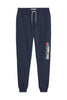 Tommy Hilfiger Tjm Entry Athletics Sweatpants Erkek Eşofman Altı Pantolon