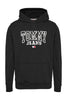 Tommy Hilfiger Reg Entry Graphc Hoodie Erkek Kapüşonlu Sweatshirt