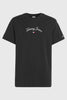 Tommy Hilfiger Tjm Rlx Curved Serıf Flag Tee Erkek T-Shirt