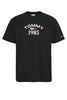 Tommy Hilfiger Tjm Clsc 1985 Rwb Curved Tee Erkek T-Shirt