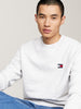 Tommy Hilfiger Tjm Reg Badge Crew Ext Sweatshirt