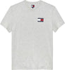TOMMY HILFIGER Erkek Gri T-Shirt DM0DM20740 P08