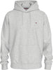 Tommy Hilfiger TJM REG S FLAG HOODIE Sweatshirt