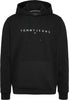 Tommy Hilfiger TJM REG LINEAR LOGO HOODIE EXT Sweatshirt