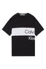 Calvin Klein Institutional Blocking Tee Erkek T-Shirt
