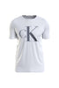 Calvin Klein Filled Ck Tee Erkek T-Shirt