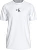 Calvin Klein Monologo Regular Tee Erkek T-Shirt