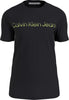 Calvin Klein Mıxed Instıtuıonal Logo Erkek T-Shirt