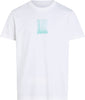 CALVIN KLEIN BRUSH STROKE GRAPHIC T-Shirt