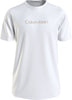 Calvin Klein Crew Neck Logo Tee Erkek T-Shirt
