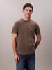 CALVIN KLEIN Erkek Gri T-Shirt LV040HM265 PDK