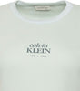 Calvin Klein Kadın Mint T-Shirt