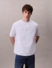 CALVIN KLEIN Erkek Beyaz T-Shirt LV04RB295G YAA