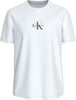 CALVIN KLEIN Erkek Beyaz T-Shirt LV04RB866G YAF