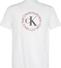 CALVIN KLEIN Erkek Beyaz T-Shirt LV14RE816G YAA