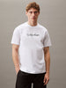 CALVIN KLEIN PW - GRAPHIC S/S T-SHIRT