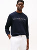 TOMMY HILFIGER Erkek Lacivert Sweatshirt MW0MW11596 DW5