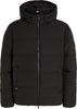 Tommy Hilfiger DOWN HOODED PUFFER JACKET Mont