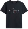 TOMMY HILFIGER Erkek Lacivert T-Shirt MW0MW41455 DW5